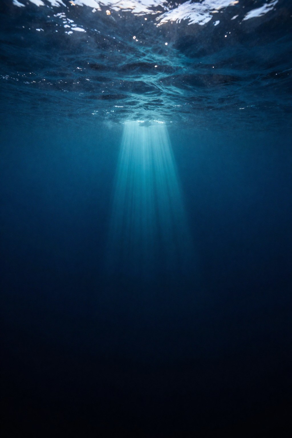 The Ocean's Midnight Zone